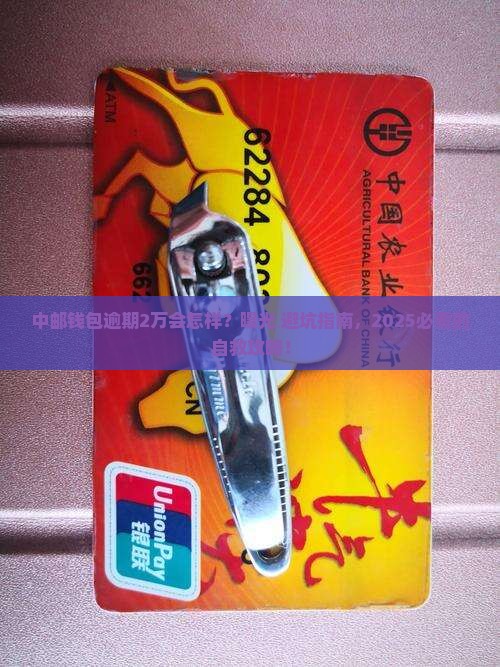 中邮钱包逾期2万的后果及处理方法