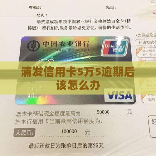 浦发信用卡5万5逾期后该怎么办