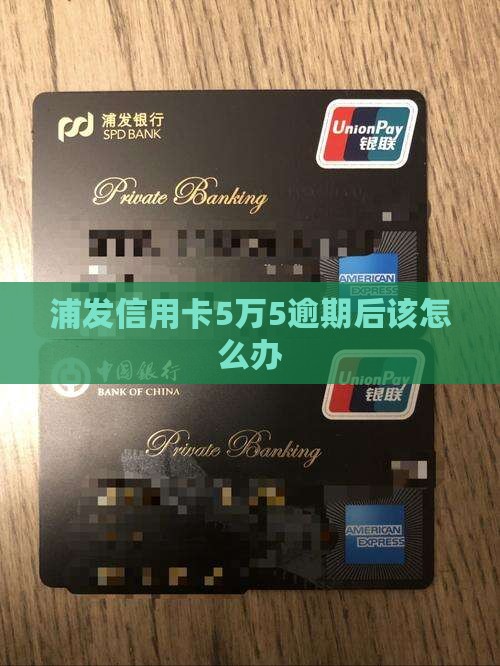浦发信用卡5万5逾期后该怎么办