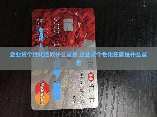 企业贷个性化还款什么意思