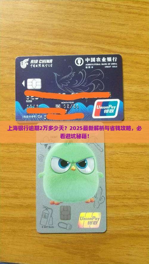 上海银行逾期2万多少天