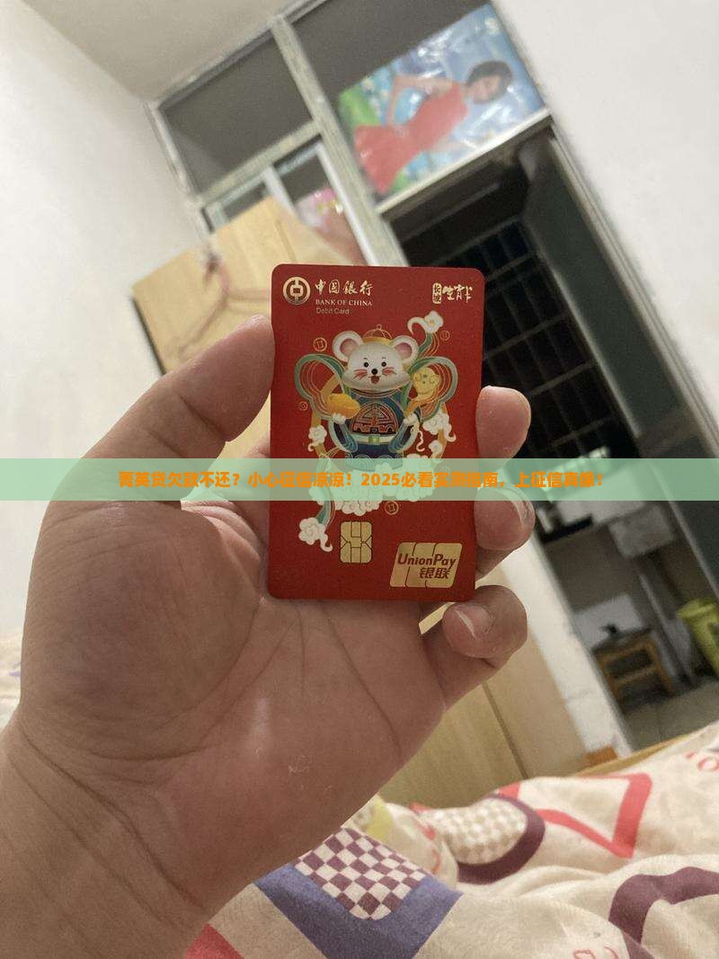 菁英贷欠款不还会上征信吗