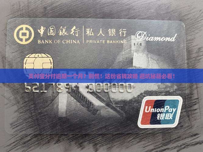 支付宝分付逾期一个月