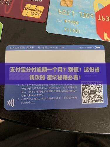 支付宝分付逾期一个月