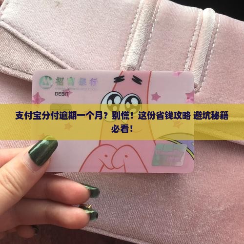 支付宝分付逾期一个月