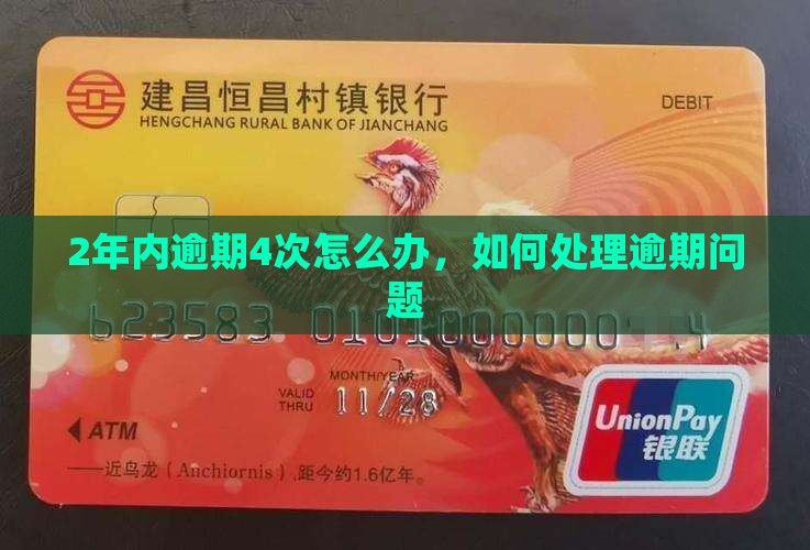 2年内逾期4次怎么办