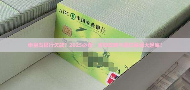 秦皇岛银行欠款