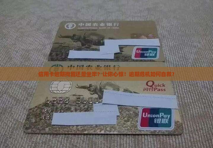 信用卡逾期拘留还是坐牢