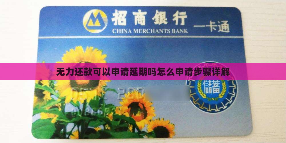 无力还款可以申请延期吗怎么申请步骤详解