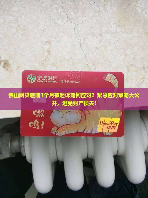 佛山网贷逾期1个月被起诉如何应对
