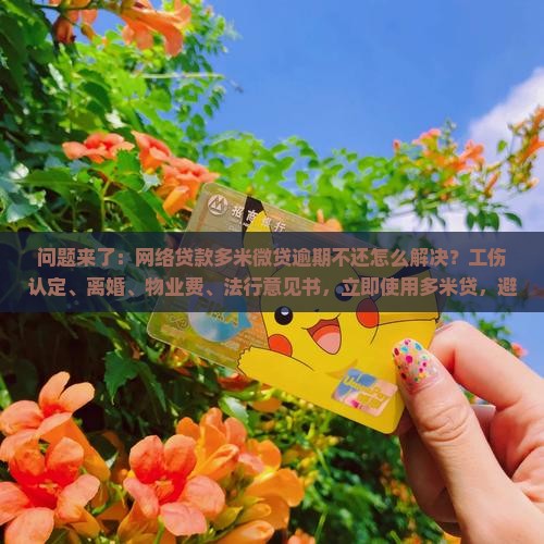 微贷网多米贷不还怎么办