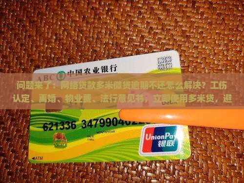 微贷网多米贷不还怎么办