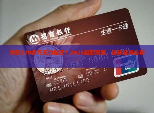 贷款220多万无力偿还怎么办