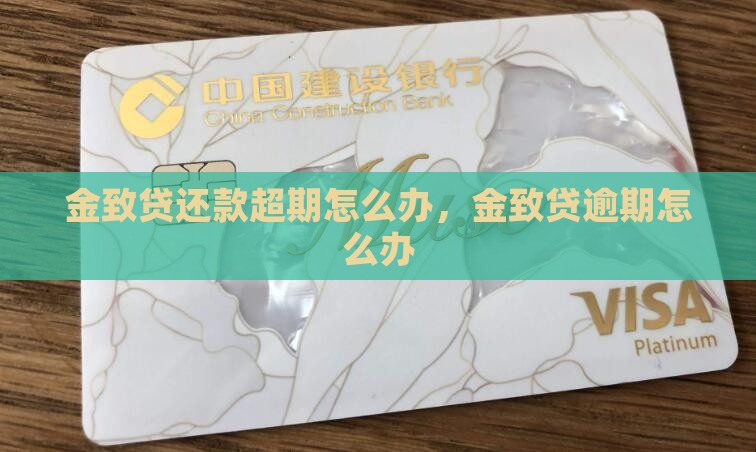 金致贷还款超期怎么办