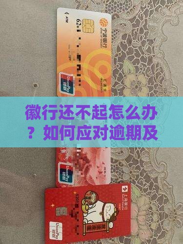 徽行还不起怎么办