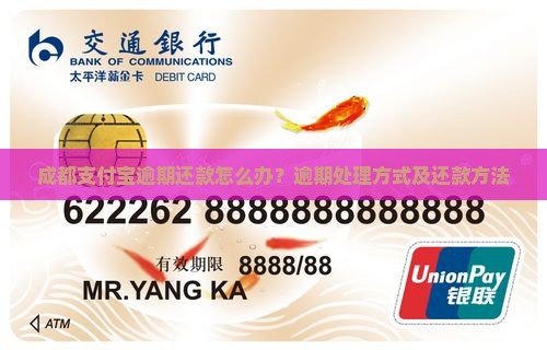 成都支付宝逾期还款怎么办？逾期处理方式及还款方法