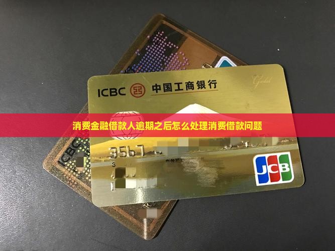消费金融借款人逾期之后怎么处理消费借款问题