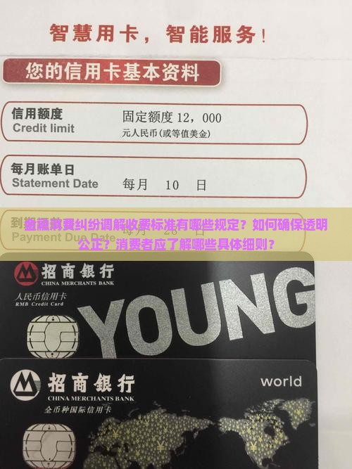 金融消费纠纷调解收费标准有哪些规定？如何确保透明公正？消费者应了解哪些具体细则？