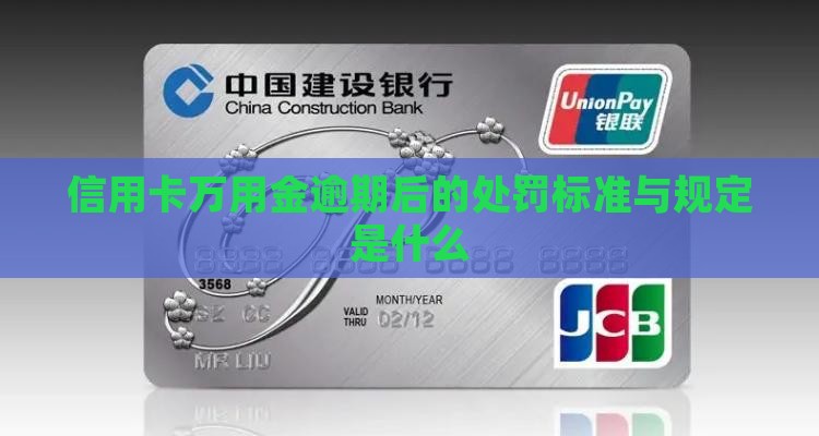 信用卡万用金逾期后的处罚标准与规定是什么