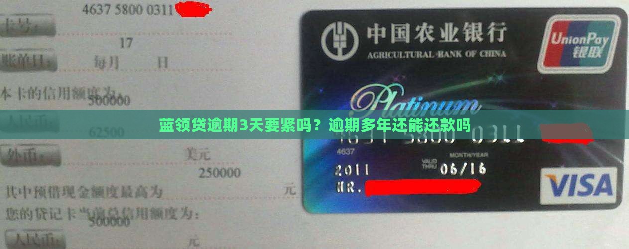 蓝领贷逾期3天要紧吗？逾期多年还能还款吗