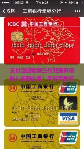 支付宝逾期第三方处理有哪些？逾期必看！手把手教你应对新法规