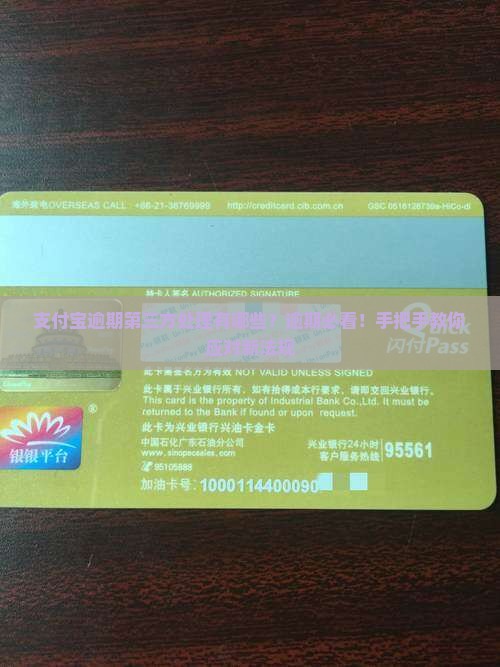 支付宝逾期第三方处理有哪些？逾期必看！手把手教你应对新法规