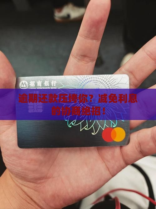 逾期还款压垮你？减免利息的协商绝招！