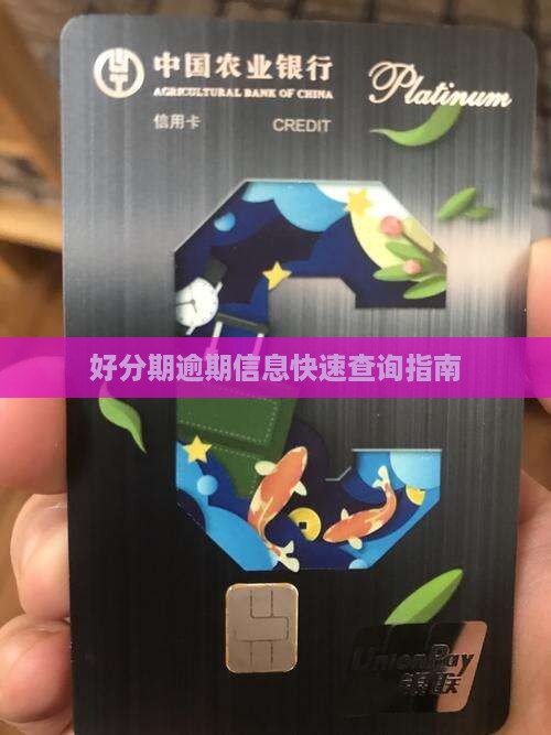 好分期逾期信息快速查询指南