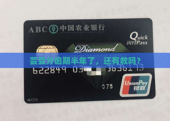 芸豆分逾期半年了，还有救吗？