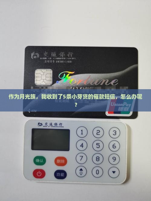 作为月光族，我收到了5条小芽贷的催款短信，怎么办呢？