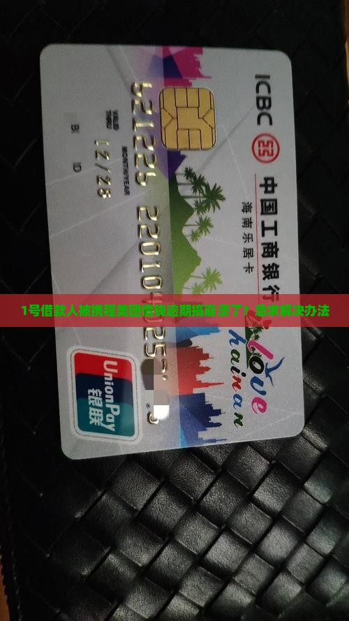 1号借款人被携程美团借钱逾期搞崩溃了？急求解决办法