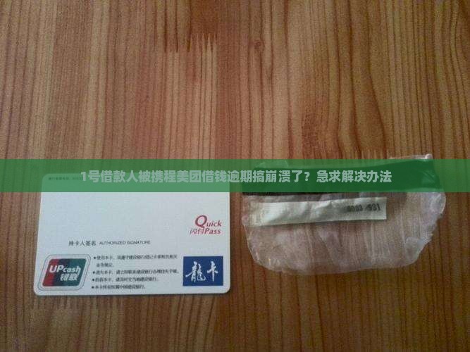 1号借款人被携程美团借钱逾期搞崩溃了？急求解决办法