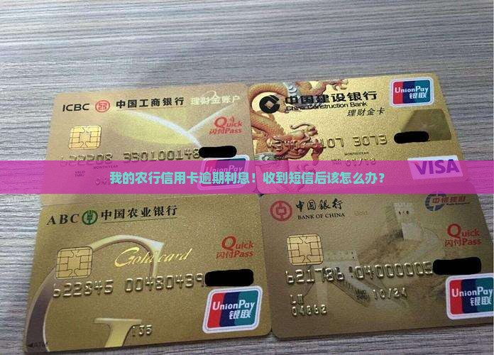 我的农行信用卡逾期利息！收到短信后该怎么办？