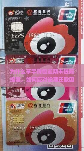 为什么享宇钱包逾期未提前提醒，如何应对逾期还款困扰？