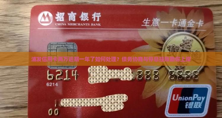 浦发信用卡两万逾期一年了如何处理