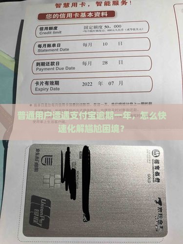 支付宝逾期一年的经历应该如何处理