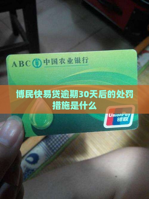 博民快易贷逾期30天后的处罚措施是什么