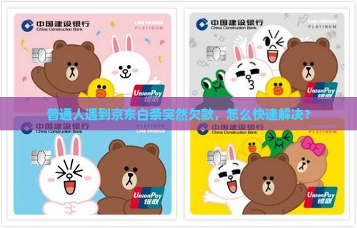 京东白条忽然欠款怎么办