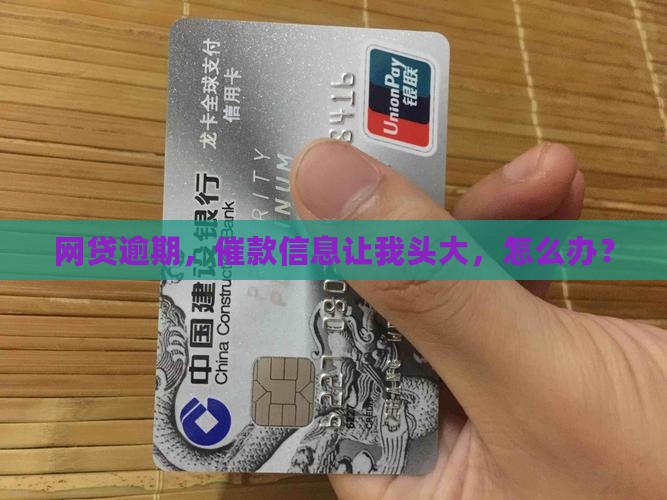 网贷逾期网贷催款信息