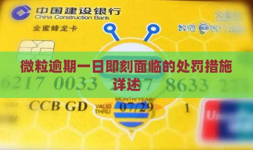 微粒贷逾期一天后的处罚措施有哪些