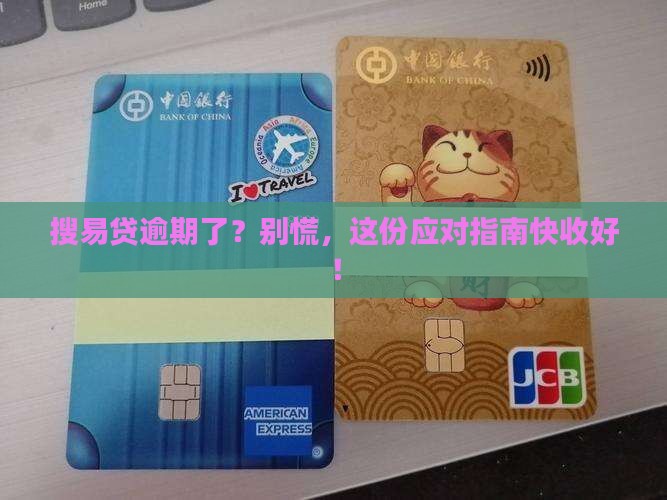 搜易贷逾期还款怎么办