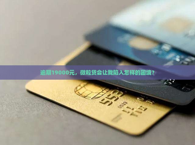 微粒贷逾期19000元后果严重吗