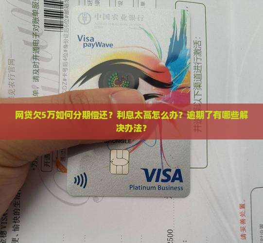 网贷欠5万如何分期偿还