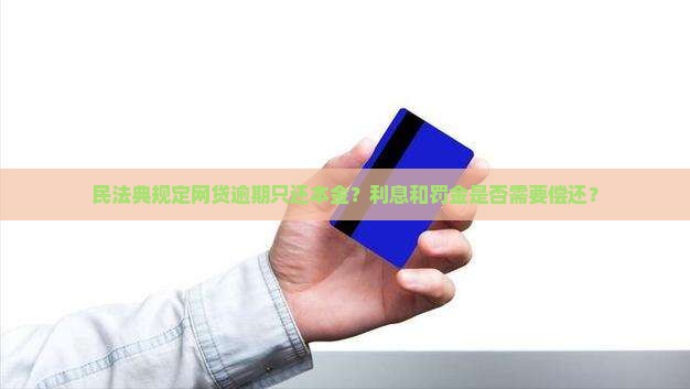 民法典规定网贷逾期只还本金