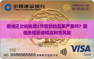 拒绝还欠拍拍贷2万借款的后果严重吗