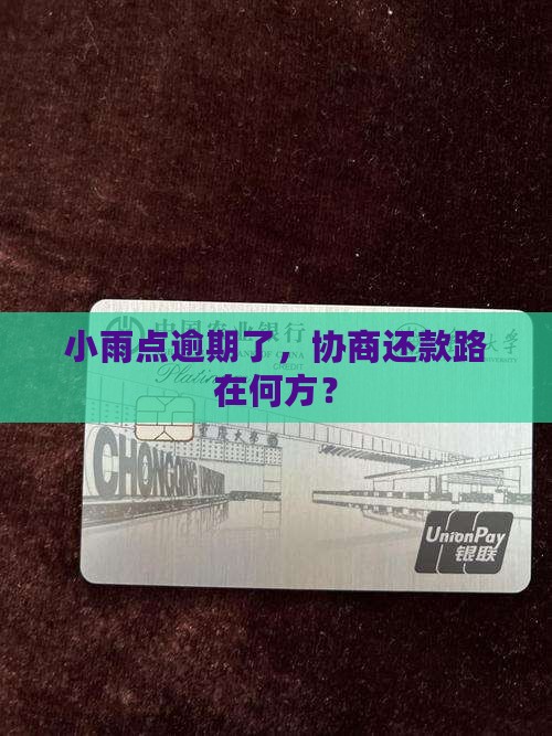 小雨点逾期协商还款怎么办