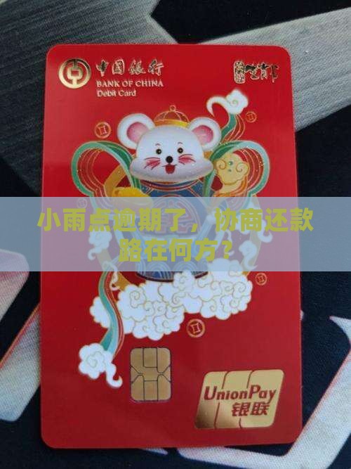 小雨点逾期协商还款怎么办