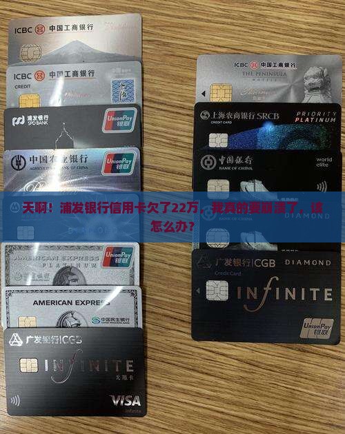 浦发银行信用卡欠22万怎么办