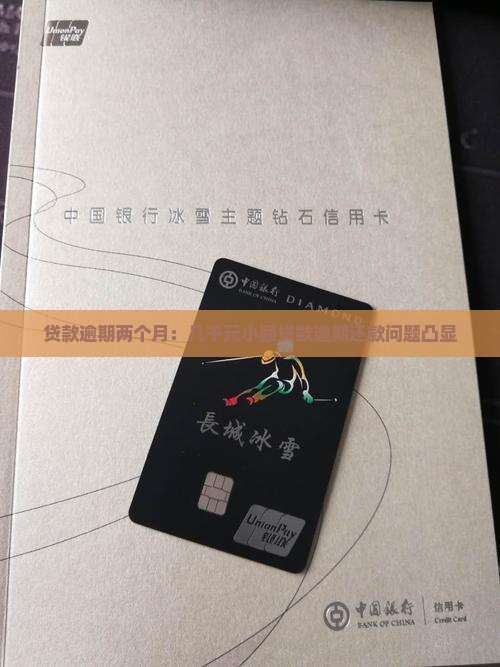 小额贷款几千元逾期两个月