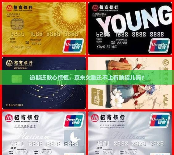 京东还款实在还不上逾期该怎么处理
